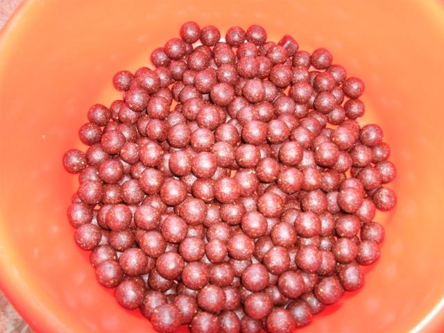 pregatiri - gedc0348.JPG